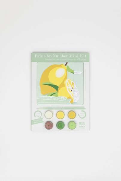 Lemons MINI Paint-by-Number Kit – Art Center East